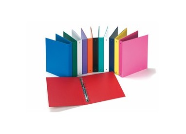 Raccoglitore Europa 4010 22x30mm 4R dorso 30 col. assortiti Favorit