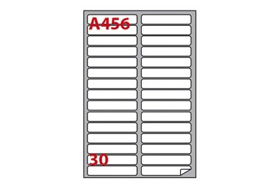 Etichetta adesiva A/456 bianca 100fg 100x17mm (30et/fg) Markin