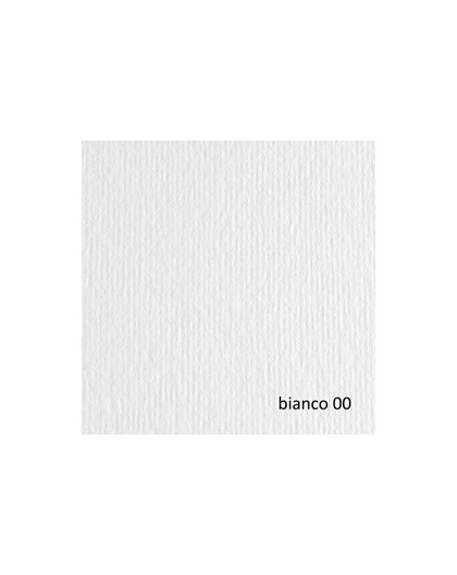 BLISTER 10FG CARTONCINO 70X100 220GR BIANCO 100 FABRIANO ELLE ERRE