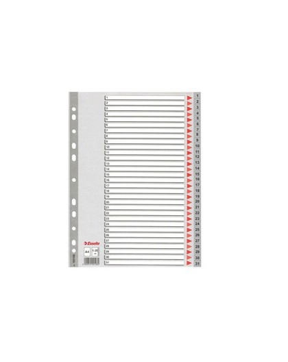Separatore in PPL grigio numerico 1-31 f.to A4 ESSELTE