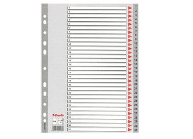 Separatore in PPL grigio numerico 1-31 f.to A4 ESSELTE