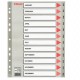 Separatore in PPL grigio mensile GEN-DIC f.to A4 ESSELTE