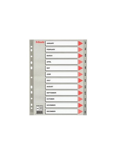 Separatore in PPL grigio mensile GEN-DIC f.to A4 ESSELTE