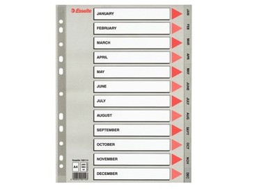 Separatore in PPL grigio mensile GEN-DIC f.to A4 ESSELTE