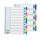 Separatore neutro in PPL 10 tasti colorati f.to A4 MAXI 24,5x29,7cm ESSELTE