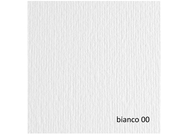 BLISTER 20FG CARTONCINO 50X70 220GR BIANCO 100 FABRIANO ELLE ERRE
