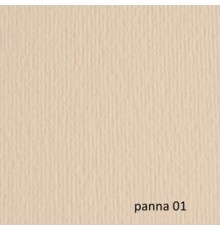 BLISTER 20FG CARTONCINO 50X70 220GR PANNA 101 FABRIANO ELLE ERRE