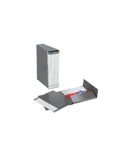 Gruppo DELSO LINE I54 6 cartelle 2 lembi dorso 1,5cm ESSELTE
