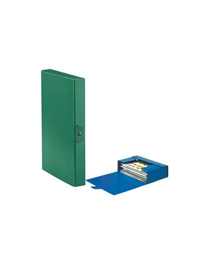 Scatola progetto C24 25x35cm dorso 4 verde ESSELTE