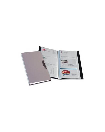 PORTABIGLIETTI VISITA 120 TASCHE SILVER C/CUSTODIA