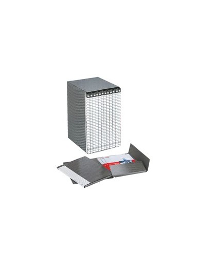 Gruppo DELSO LINE I55 12 cartelle 2 lembi dorso 1,5cm ESSELTE