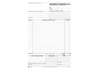 DDT SNAP 3 COPIE AUTORIC. 100FG 31x20,5CM E9029/3