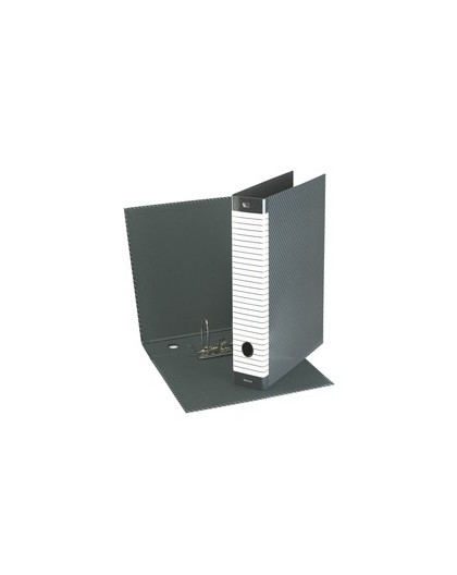Registratore DELSO LINE G14 dorso 5cm f.to protocollo ESSELTE