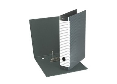 Registratore DELSO LINE G14 dorso 5cm f.to protocollo ESSELTE