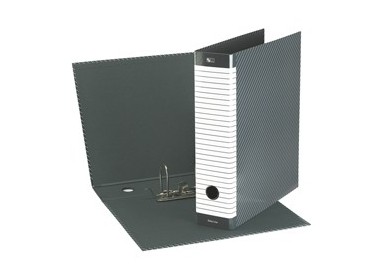 Registratore DELSO LINE G13 dorso 8cm f.to commerciale ESSELTE