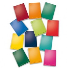 MAXIQUADERNO A4 40fg+2 80gr bianco MONOCROMO PIGNA