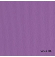 BLISTER 20FG CARTONCINO 50X70 220GR VIOLA 104 FABRIANO ELLE ERRE