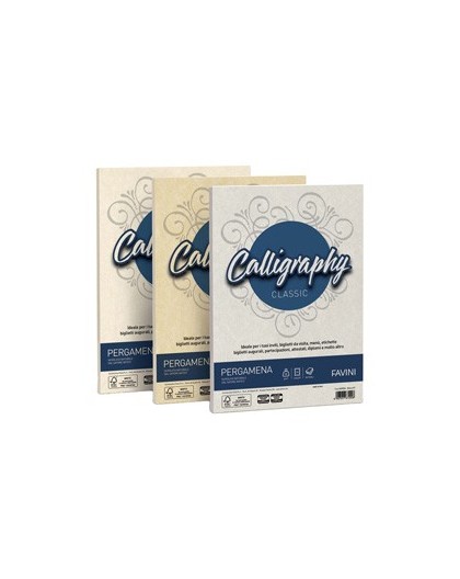 Carta CALLIGRAPHY PERGAMENA 90gr A4 50fg naturale 06 FAVINI