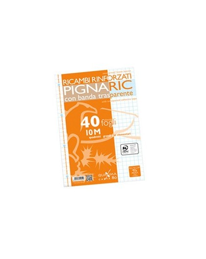 RICAMBI FORATI RINFORZATI A4 10MM 40FG 80GR PIGNARIC