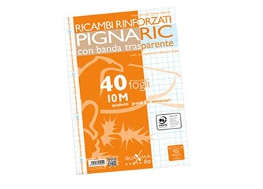 RICAMBI FORATI RINFORZATI A4 10MM 40FG 80GR PIGNARIC