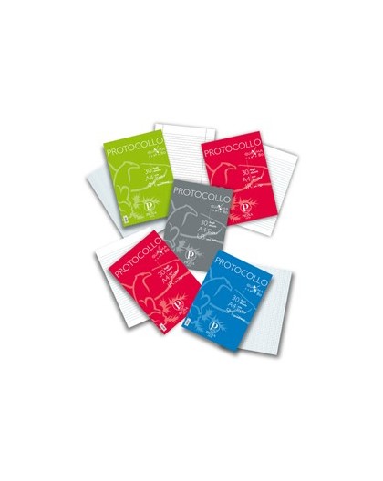 PROTOCOLLO A4 USO BOLLO 200FG 80GR PIGNA