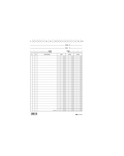 100 SCHEDE VERTICALE 21X15CM DARE/AVERE/SALDO E3336BL