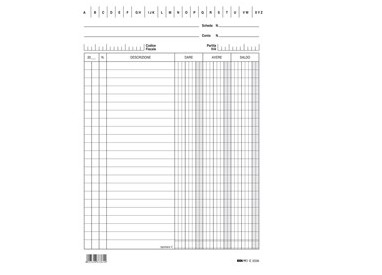 100 SCHEDE VERTICALE 21X15CM DARE/AVERE/SALDO E3336BL