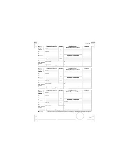 250 MODELLI MECCANOGR. CARICO/SCARICO RIFIUTI X DETENTORI (A) 12"X24 E2866
