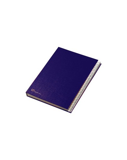 MONITORE 1/31 FRASCHINI FORMATO UTILE 24X34CM BLU ART.643-E