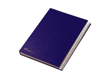 MONITORE 1/31 FRASCHINI FORMATO UTILE 24X34CM BLU ART.643-E