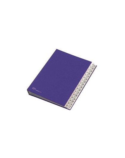 MONITORE 1/31 FRASCHINI FORMATO 24X34CM BLU ART. 643-D