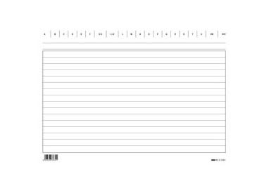 100 SCHEDE RIGATE 17X24CM ORIZZONTALE E3363BL EDIPRO