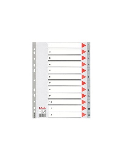 Separatore in PPL grigio numerico 1-12 A4 22,5x29,7cm ESSELTE