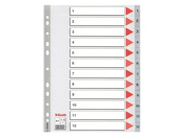 Separatore in PPL grigio numerico 1-12 A4 22,5x29,7cm ESSELTE