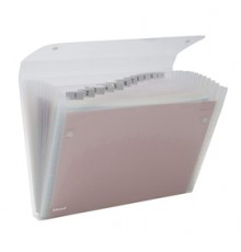 CARTELLA A 13 TASCHE 22X30CM TRASPARENTE ICE REXEL