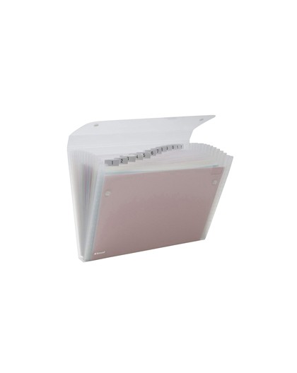 CARTELLA A 13 TASCHE 22X30CM TRASPARENTE ICE REXEL