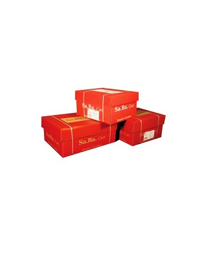 CARTA IN MODULO CONTINUO 37,5X11" 60GR (2000FG) LF Piste Fisse