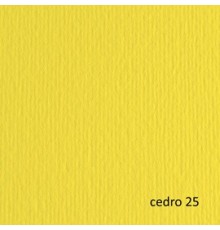 BLISTER 20FG CARTONCINO 50X70 220GR CEDRO 25 FABRIANO ELLE ERRE