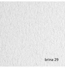 BLISTER 20FG CARTONCINO 50X70 220GR BRINA 29 FABRIANO ELLE ERRE