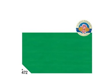 BUSTA 26fogli 50x70cm CARTA VELINA 20gr VERDE PRATO Rex Sadoch