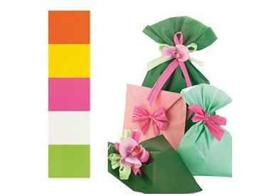 100 BUSTE REGALO IN PPL PERLA MAT 16x25cm assortimento 5 colori