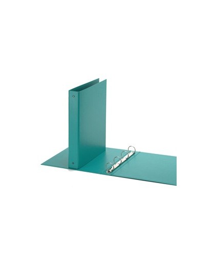 Raccoglitore Europa 4010 22x30mm 4R dorso 30 verde acqua Favorit