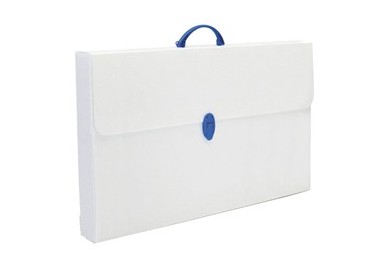 VALIGETTA POLIONDA 27X37,5 DORSO 8 (254-P)