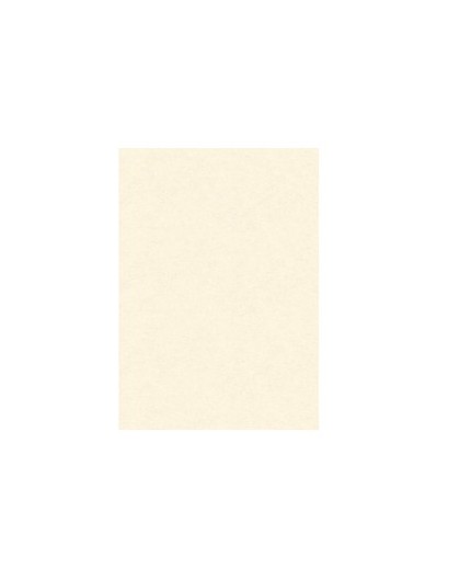 BLISTER 10 DIPLOMI PERGAMENA 297x420mm 160gr neutro avorio KARTOS