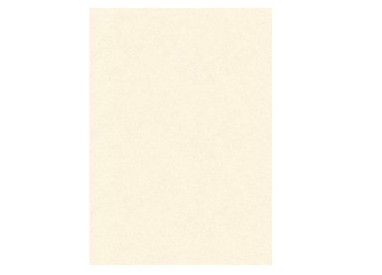 BLISTER 10 DIPLOMI PERGAMENA 297x420mm 160gr neutro avorio KARTOS