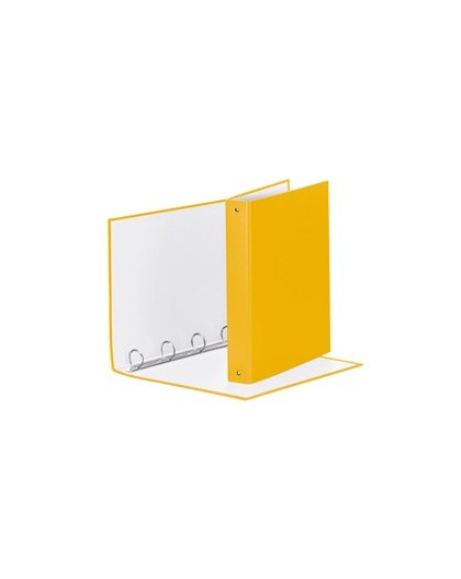 RACCOGLITORE Meeting 30 A4 4R IN PPL Giallo Esselte