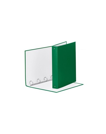 RACCOGLITORE Meeting 30 A4 4R IN PPL Verde Esselte