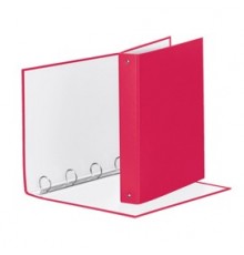 RACCOGLITORE Meeting 30 A4 4R IN PPL Fucsia Esselte