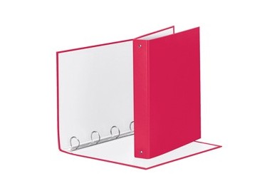 RACCOGLITORE Meeting 30 A4 4R IN PPL Fucsia Esselte