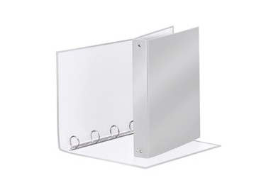 RACCOGLITORE Meeting 30 A4 4R IN PPL Grigio Metal Esselte